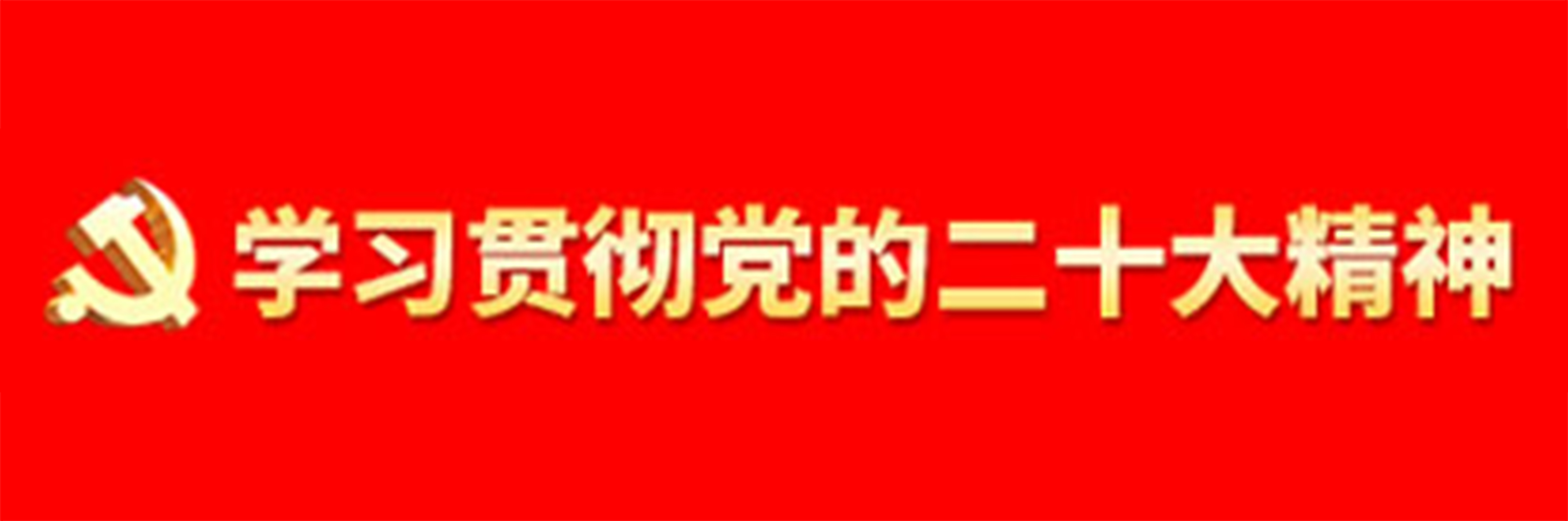 學(xué)習(xí)貫徹黨的二十大精神